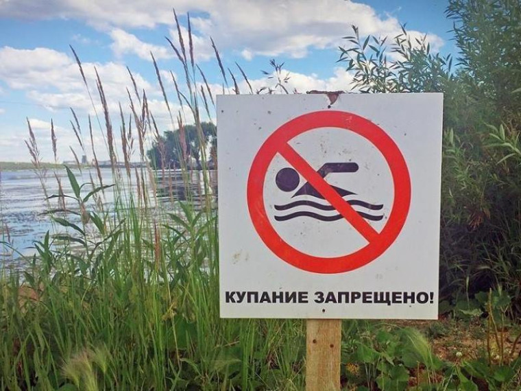 На территории Волковского сельсовета водные объекты не предназначены для купания!. На территории Волковского сельсовета водные объекты не предназначены для купания!.